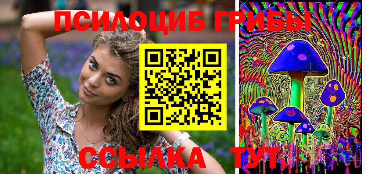 Псилоцибиновые грибы прущие грибы Междуреченск