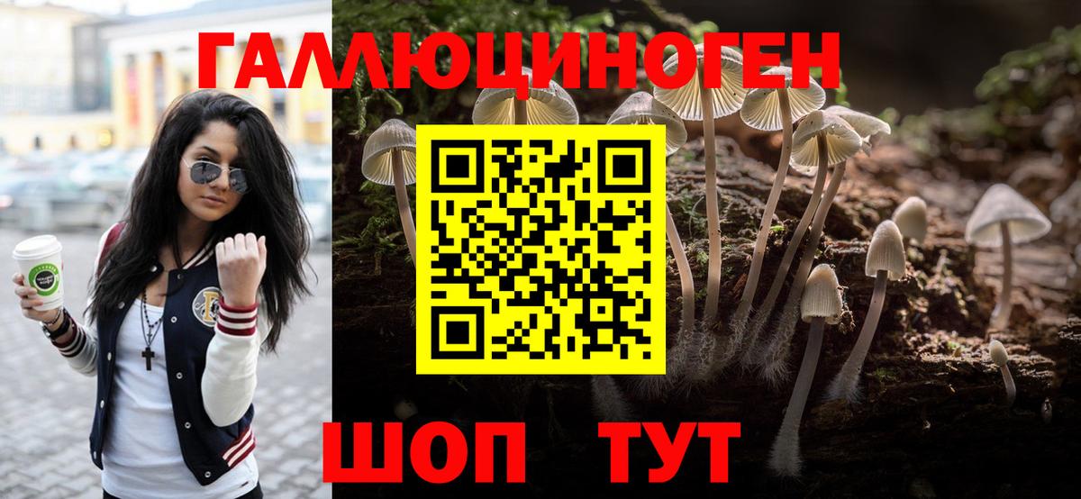 Галлюциногенные грибы Cubensis  Вход с VPN  Галлюциногенные грибы Cubensis  Междуреченск 